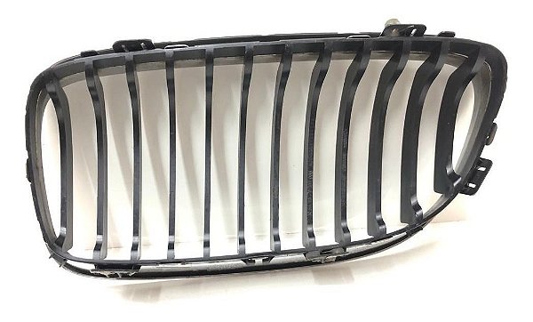 Grade Dianteira Direita Bmw 320I 2007 #89