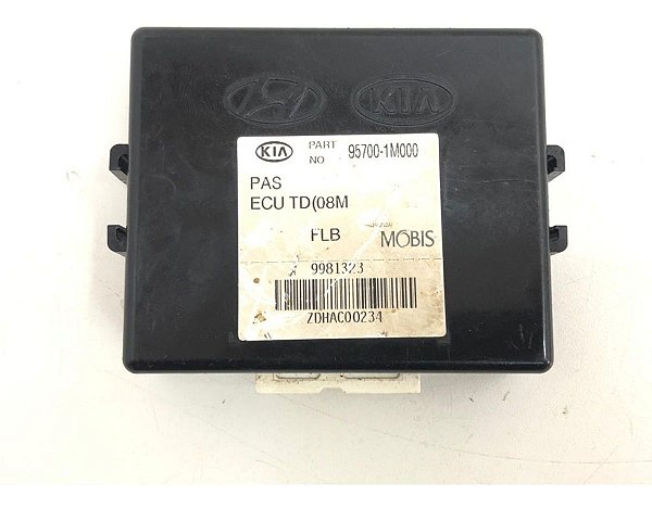 Módulo Sistema Assy Pas Ecu Kia Cerato 95700-1M000 C132