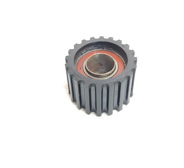 Polia Correia Dentada Renault Scenic 2.0 1999 Até 2000 C138