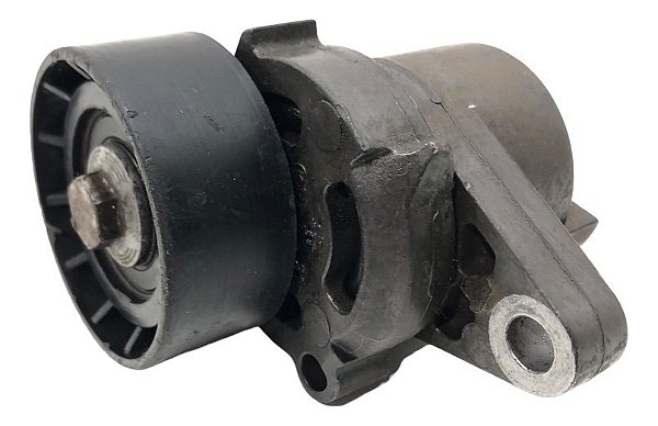 Polia Tensora Correia Renault Scenic 1.6 2004 Original C345