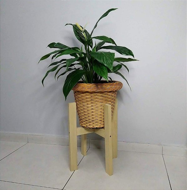 Suporte para Vaso de Chão ( G )