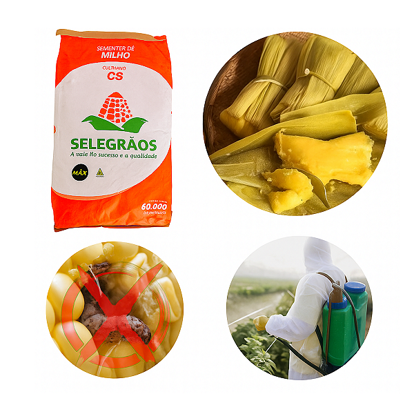 Semente Milho Verde CS 3663 18kg – Resistente a Glifosato e Lagartas