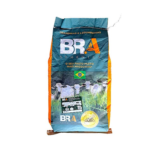 10Kg Semente Tratada Brachiaria Ruziziensis Capim Gado De Recria E Engorda