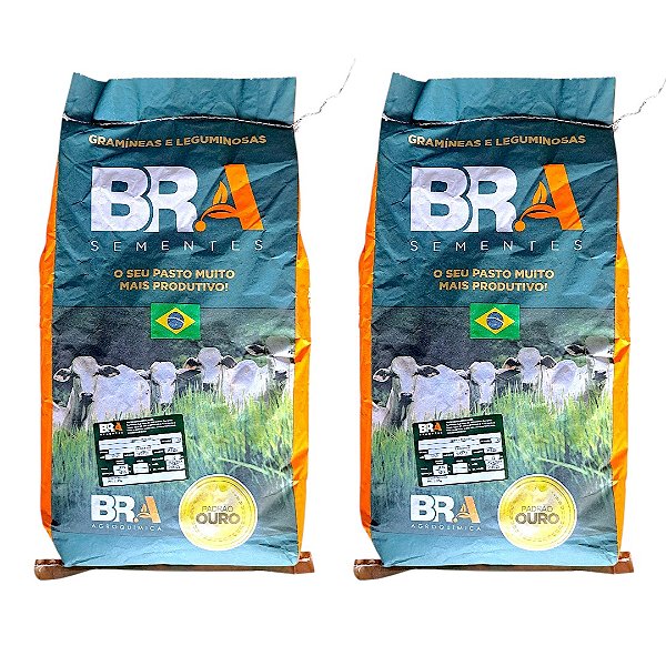 20Kg Semente Tratada Brachiaria Ruziziensis Capim Gado De Recria E Engorda