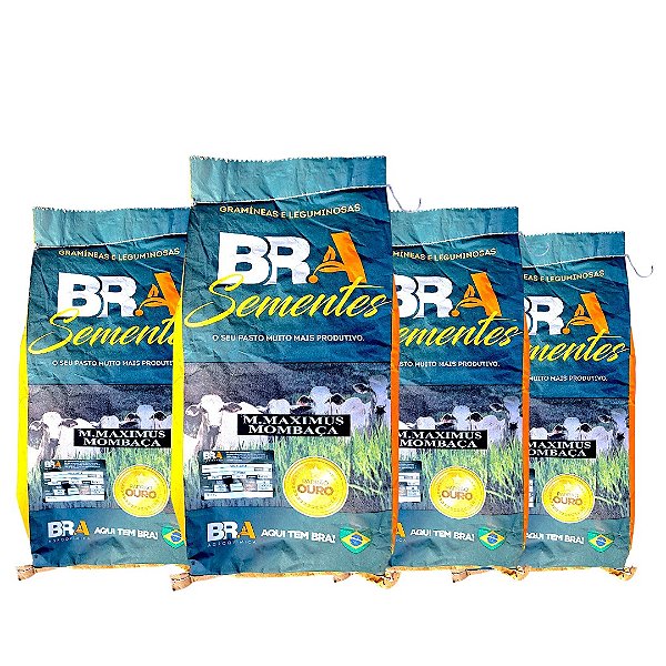 Capim Mombaça 40Kg Semente Incrustada Para Formar Pastagem