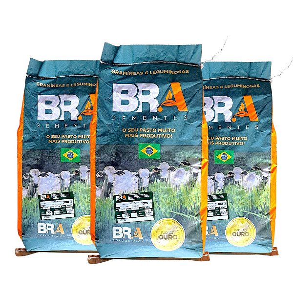 30Kg Semente Incrustada Brachiaria Ruziziensis Capim Gado De Recria E Engorda