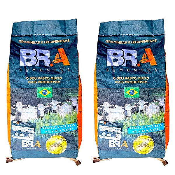 20 Kg Semente Incrustada Pastagem Brachiaria Marandu