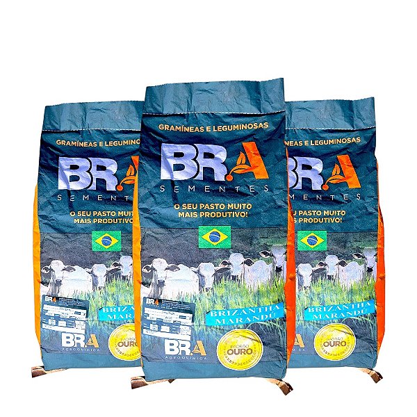 30 Kg Semente Incrustada Pastagem Brachiaria Marandu