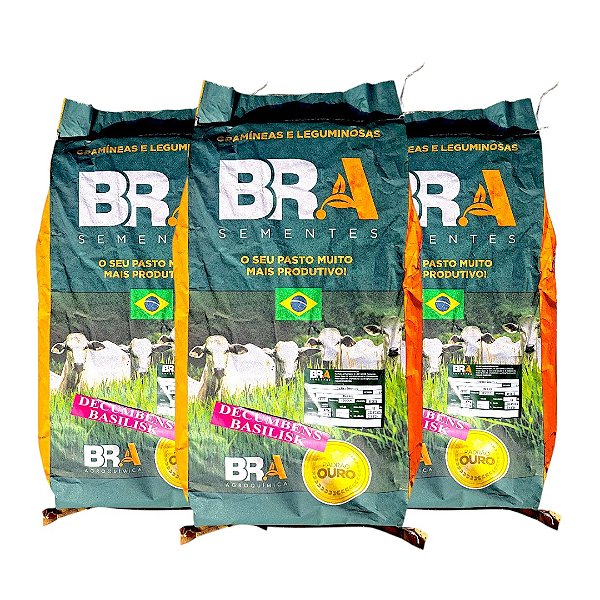 Brachiaria Decumbens Incrustada 10Kg BRA Pastagens e Forragens 3 Unid.