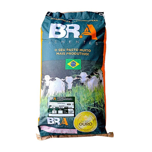 Capim Para pastagem Brachiraria 10Kg Ruziziensis BRA Alta Germinação