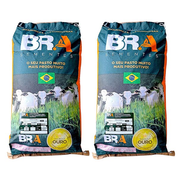 3 Uni Capim Para pastagem Brachiraria 10Kg Ruziziensis BRA Alta Germinação