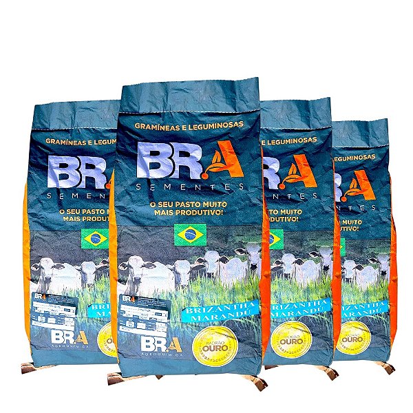 40 Kg Semente Incrustada Pastagem Brachiaria Marandu