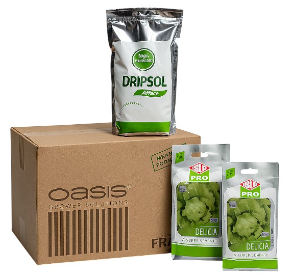 Kit Completo Hidroponia | Espuma Fenólica 345 Células + Dripsol Alface 750g + 84G Sementes Americana Delícia