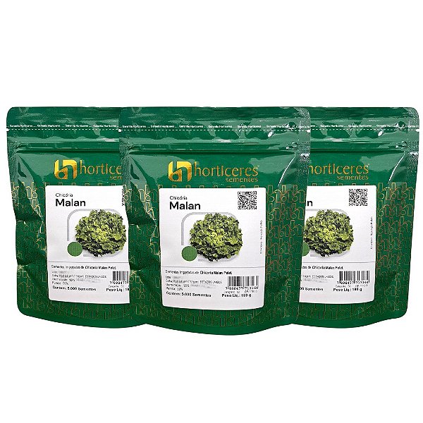 Chicória Malan 15000 Sementes Horticeres - Para Plantio Profissional