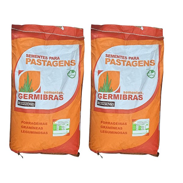 40kg Semente de Brachiaria Ruziziensis CV50