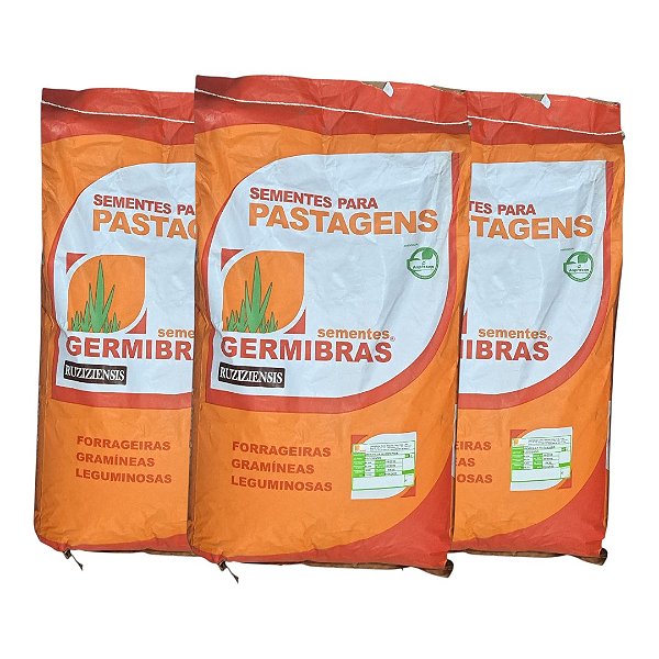 60kg Semente de Brachiaria Ruziziensis CV50