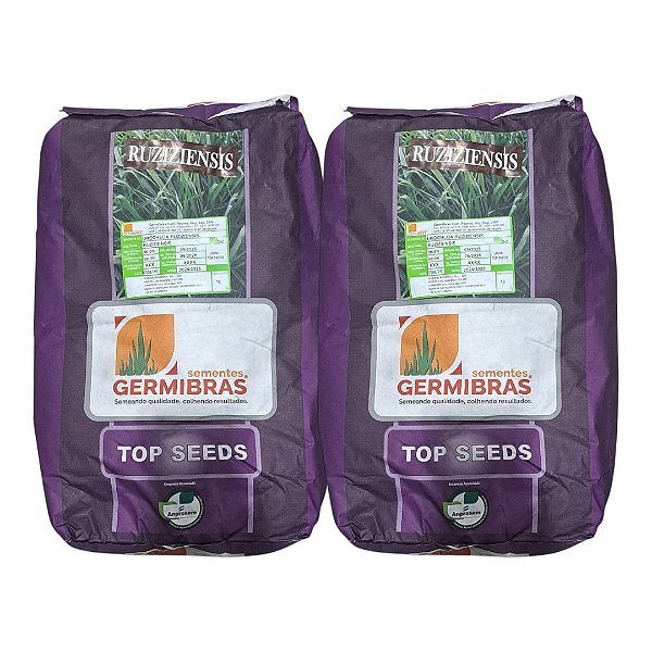 20kg Semente Ruziziensis Topp Seeds Incrustada