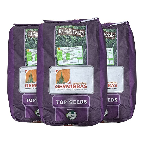 30kg Semente Ruziziensis Topp Seeds Incrustada