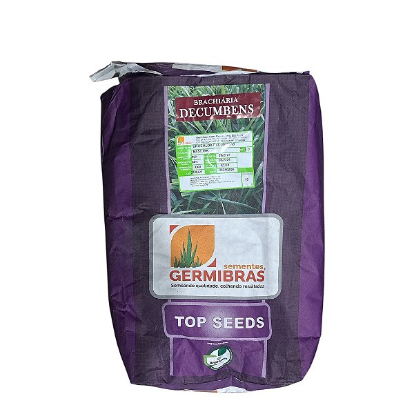 10kg Semente Brachiaria Decumbens Top Seeds Incrustada