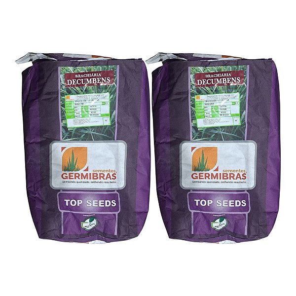 20kg Semente Brachiaria Decumbens Top Seeds Incrustada