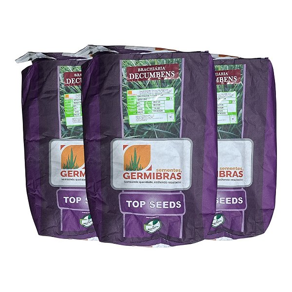 30kg Semente Brachiaria Decumbens Top Seeds Incrustada