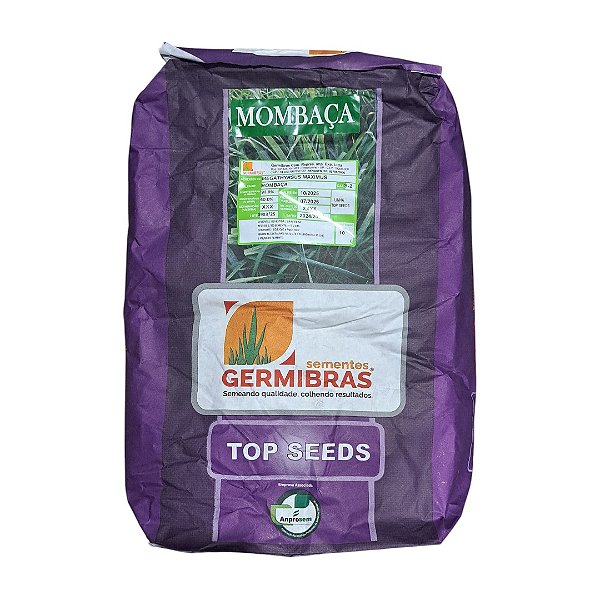 10kg Sementes Capim Panicum Maximum Mombaça Top Seeds - Pastagem Produtiva e Resistente