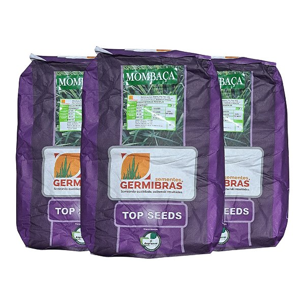 30kg Sementes Capim Panicum Maximum Mombaça Top Seeds - Pastagem Produtiva e Resistente