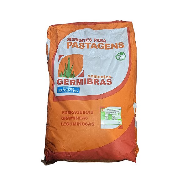 20kg Semente Brachiaria Brizantha Marandu VC50 - Pastagem Produtiva Rápida