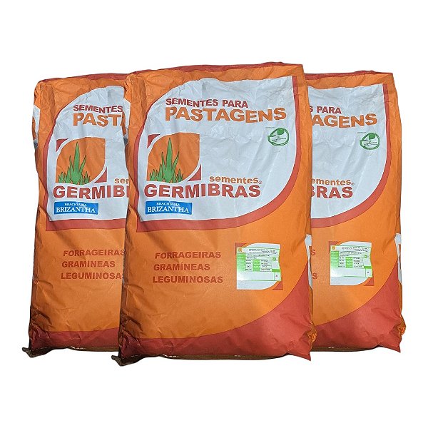 60kg Semente Brachiaria Brizantha Marandu VC50 - Pastagem Produtiva Rápida