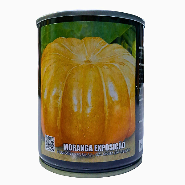 Sementes Abóbora Moranga Exposição 100g Feltrin – Produção de Frutos Grandes