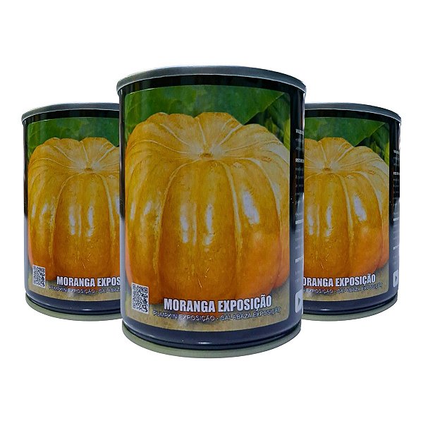 Sementes Abóbora Moranga Exposição 300g Feltrin – Produção de Frutos Grandes