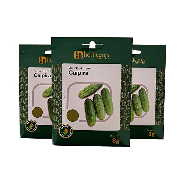 30g Sementes de Pepino Caipira - Horticeres