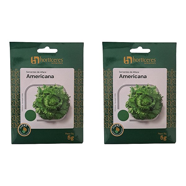 10g Sementes de Alface Americana Horticeres – Ciclo de 65-80 Dias