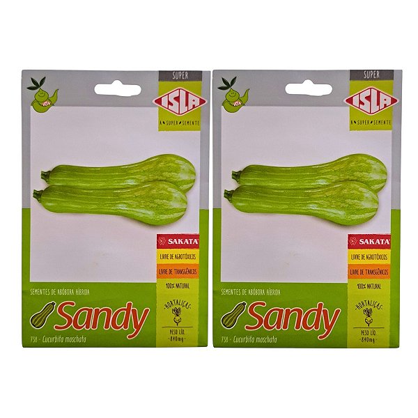 Sementes de Abóbora Sandy Híbrida 1,7g Isla – Vigor e Qualidade