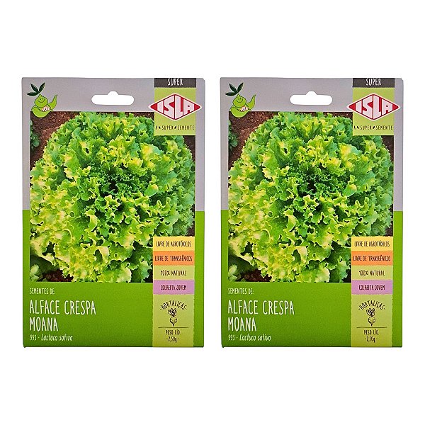 Sementes de Alface Crespa Moana 5g Isla – Ciclo de 45 a 60 Dias