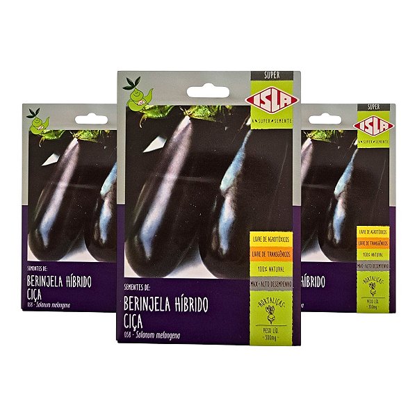 Sementes de Berinjela Ciça Híbrida Isla 900mg – Ideal Para Cultivo Comercial
