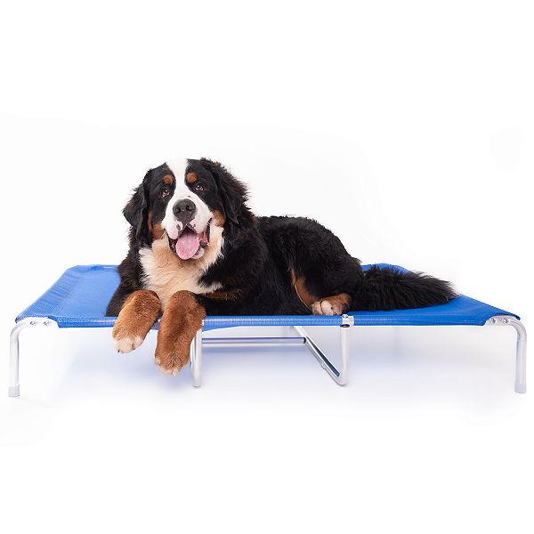 Cama Cachorros Pet Tamanho XL Suspensa Mec G