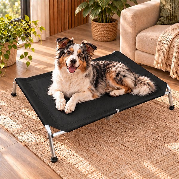 Cama Para Cachorro Médio Pet Suspensa Elevada 75x50 Até 35kg