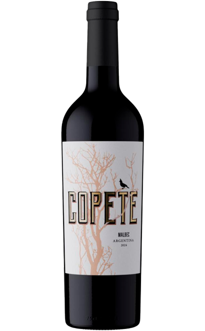 vinho Marchiori e Barraud Copete Malbec tinto seco argentina 2024 750ml