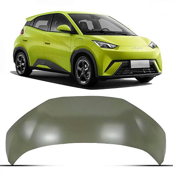 Capô dolphin mini byd de 2023 a 2025