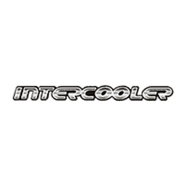 Emblema blazer e s10 chevrolet de 2003 lateral prata resinado