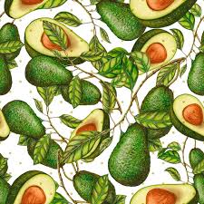 Estampa Digital Abacate   Ref: E066