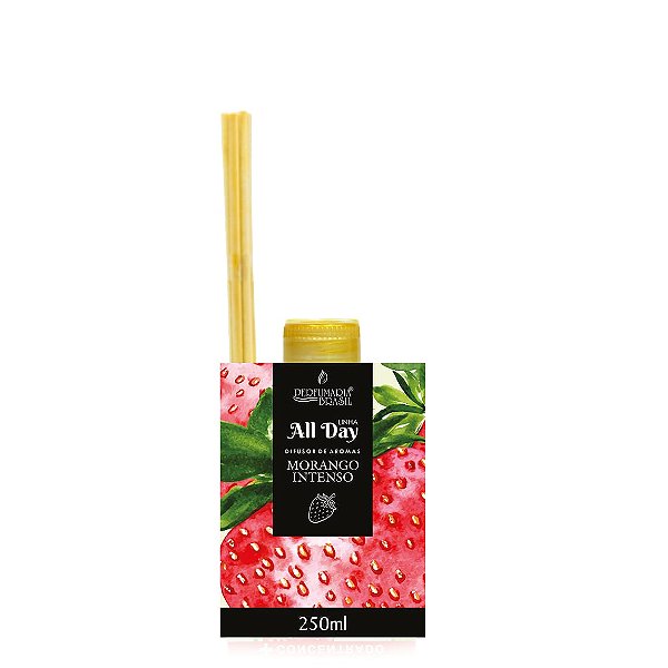 DIFUSOR DE AROMAS ALL DAY C/ CAIXA 250 ML