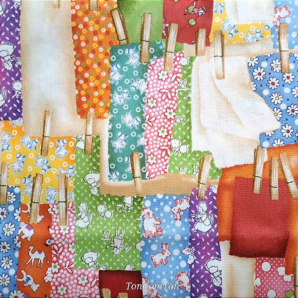 DryingClothes. Alg Japonês. (50x55cm)