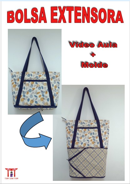 Projeto:  Bolsa Extensora