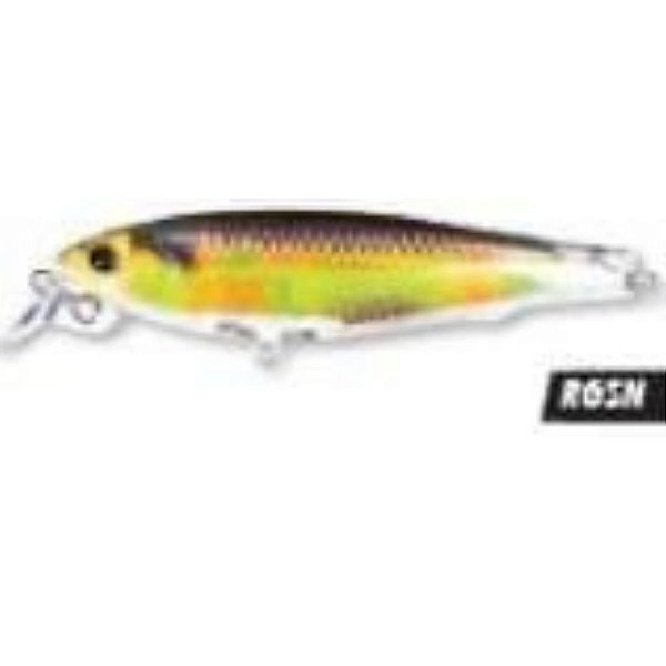 ISCA ARTIFICIAL YO-ZURI 3DR MINNOW R1308-RGSN