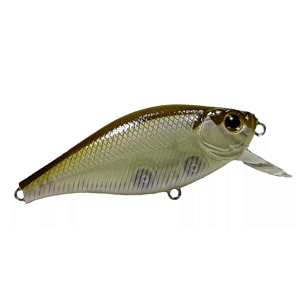 Isca Artificial Fury Banzai 60F LBR