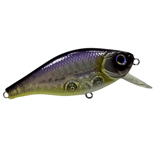 Isca Artificial Fury Banzai 60F BG