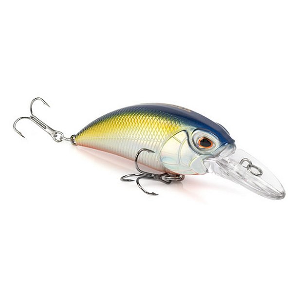 ISCA AA7028 F 9 CM  ALBATROZ - COR 03