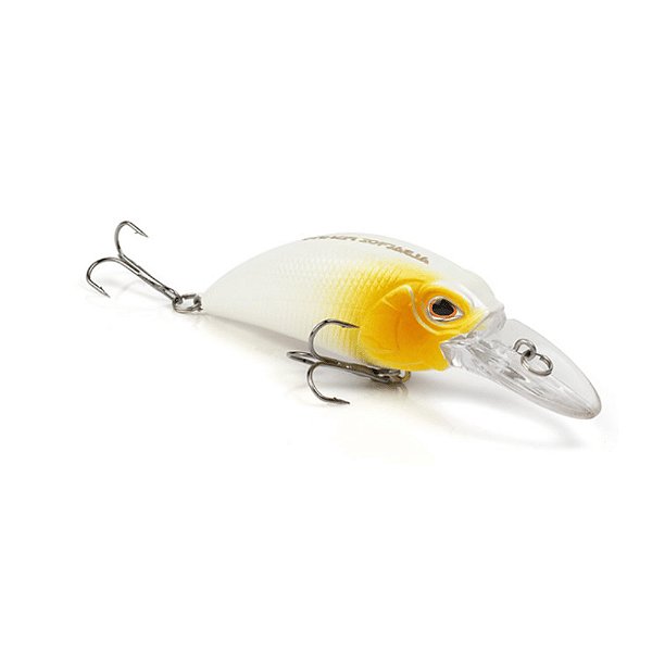 ISCA AA7028 F 9 CM  ALBATROZ - COR 02